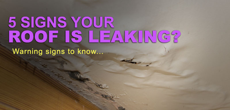 Is Your Roof Leaking?