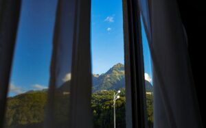 Modern window installation featuring energy-efficient design and professional installation techniques