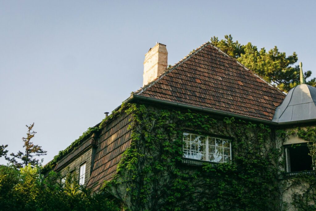Salem Oregon residential roof covered in thick green January moss with homeowner preparing for moss removal treatment