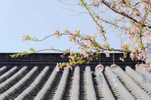 Salem roofing contractor examining wood rot damage on roof decking and fascia board during Willamette Valley rainy season inspection