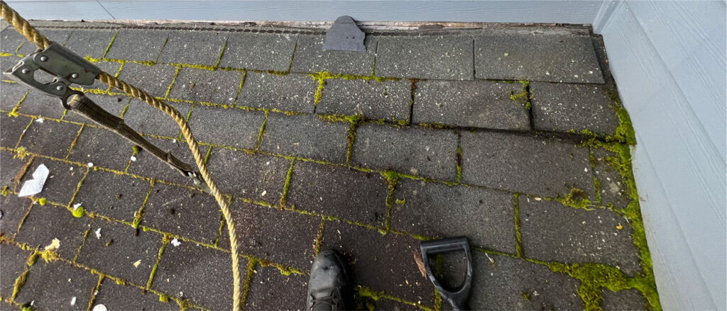 Thick moss growth on north-facing shingles on a Portland East Oregon home roof