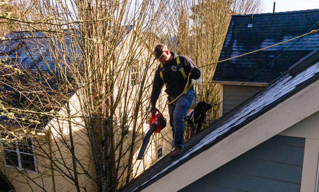 Roofing professional inspecting a roof valley for pine needle debris in Ashland, Oregon after fire season