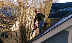 Roofing professional inspecting a roof valley for pine needle debris in Ashland, Oregon after fire season
